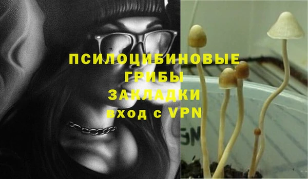 а пвп мука Новодвинск