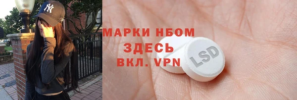 PSILOCYBIN Новокубанск