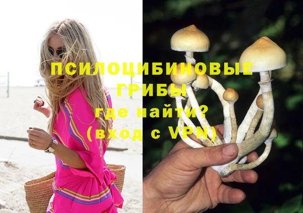MDMA Новозыбков