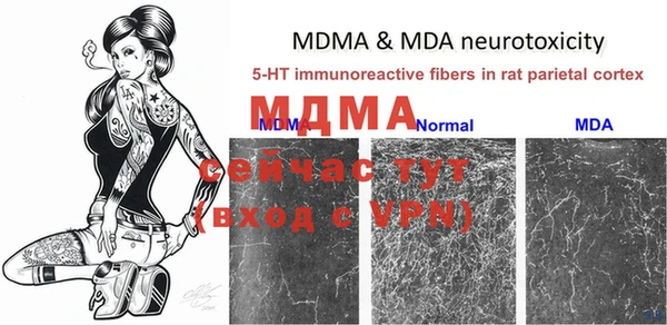 MDMA Новозыбков