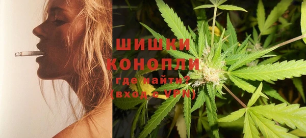 PSILOCYBIN Новокубанск