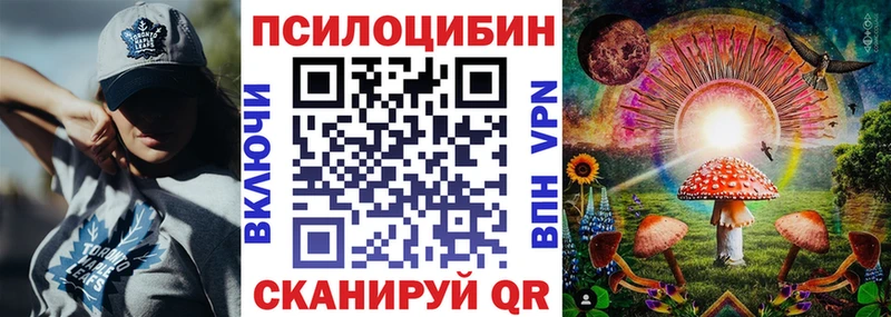 Купить закладки  Суровикино  Псилоцибиновые грибы мухоморы 